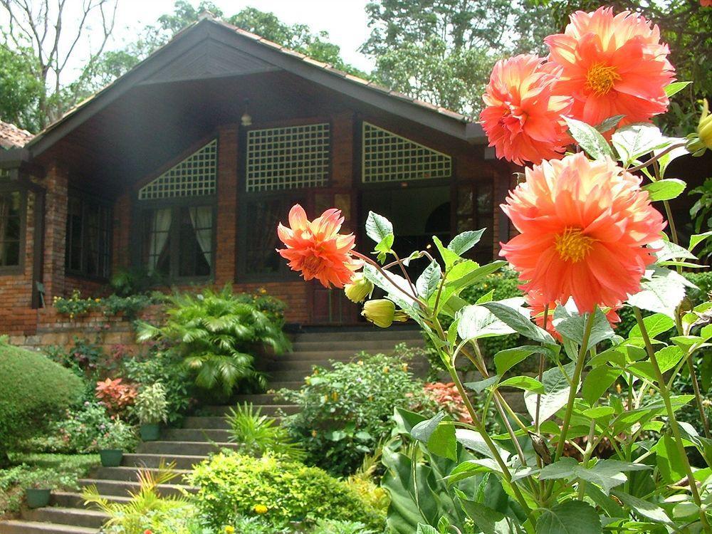 Tree Of Life Nature Resort Kandy Extérieur photo